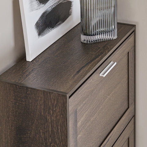 2 Drawers Shoe Cabinet Shoe Storage Organizer, FSR137-BR